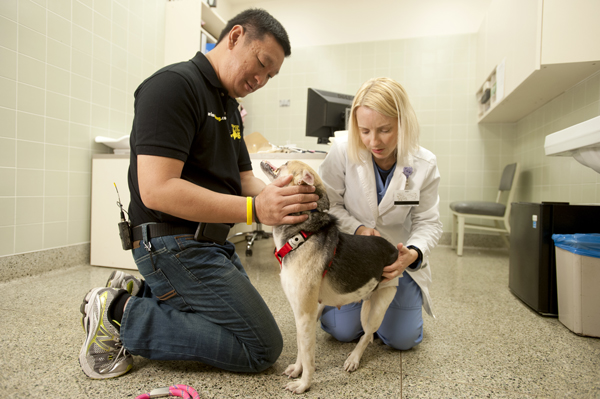 กาบัง กาบัง