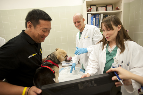 กาบัง กาบัง