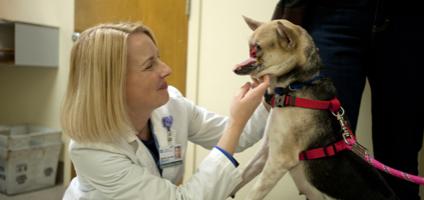 กาบัง กาบัง