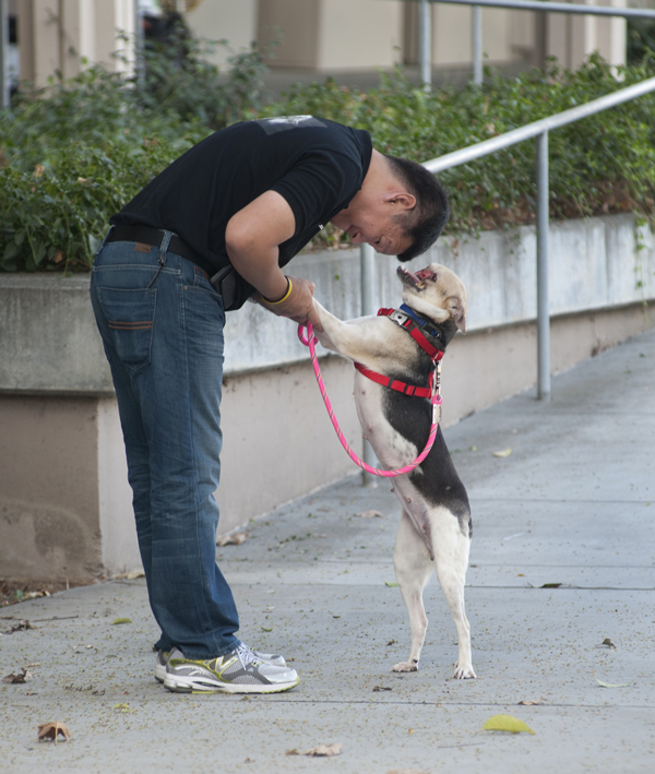 กาบัง กาบัง