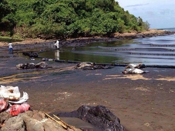 น้ำมันรั่ว ระยอง น้ำมันรั่ว ระยอง