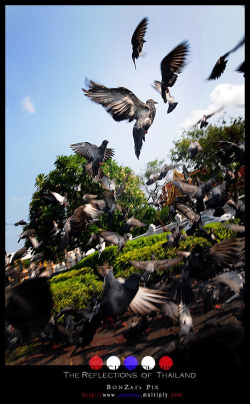 Reflection Of Thailand สะท้อนมุมมองความเป็นไทย