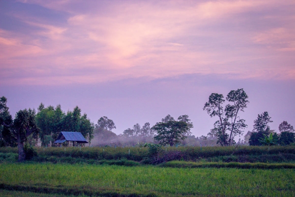 สวรรค์บ้านนา..วิถีชีวิตธรรมดาที่เต็มไปด้วยความสุขในบ้านเกิด สวรรค์บ้านนา..วิถีชีวิตธรรมดาที่เต็มไปด้วยความสุขในบ้านเกิด