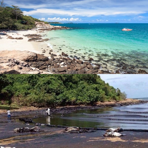 น้ำมันรั่ว ระยอง น้ำมันรั่ว ระยอง