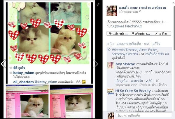 กระแต อาร์สยาม ลวงโลก กระแต อาร์สยาม ลวงโลก