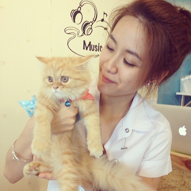 แพรว เฌอมาวีร์ แพรว เฌอมาวีร์