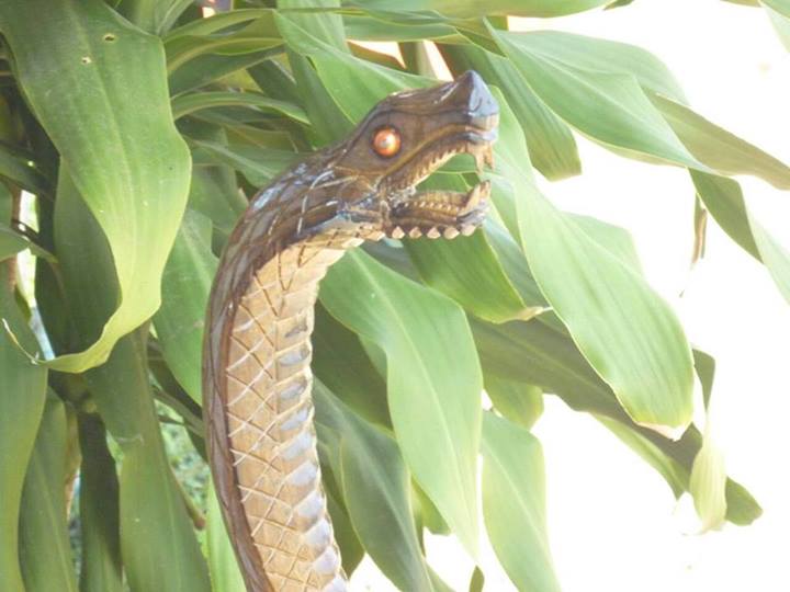 พญานาค นครพนม โผล่กลางสระน้ำ เผยอาจเป็นแค่หัวไม้เท้า พญานาค นครพนม โผล่กลางสระน้ำ เผยอาจเป็นแค่หัวไม้เท้า