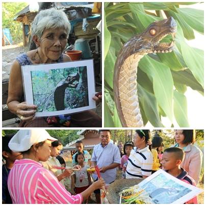 พญานาค นครพนม โผล่กลางสระน้ำ เผยอาจเป็นแค่หัวไม้เท้า พญานาค นครพนม โผล่กลางสระน้ำ เผยอาจเป็นแค่หัวไม้เท้า