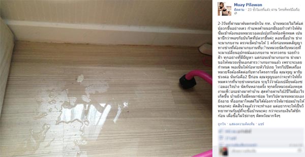 บ้านหมวย พิลาวรรณ บ้านหมวย พิลาวรรณ