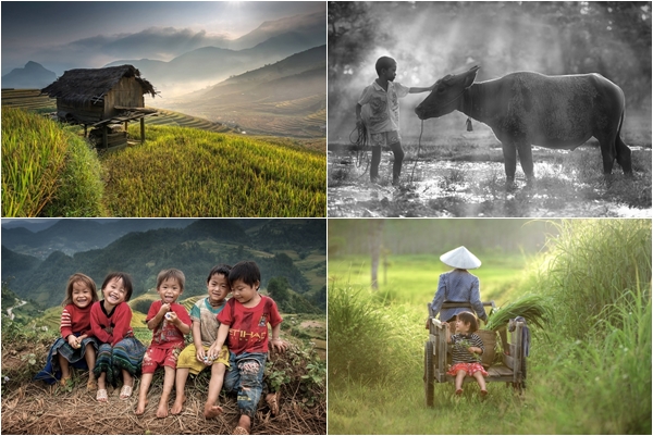 30 ภาพประทับใจแห่งปี เสน่ห์ทุ่งข้าวสีทองจากผืนนาบ้านเฮา 30 ภาพประทับใจแห่งปี เสน่ห์ทุ่งข้าวสีทองจากผืนนาบ้านเฮา