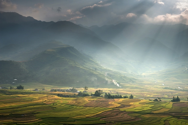 30 ภาพประทับใจแห่งปี เสน่ห์ทุ่งข้าวสีทองจากผืนนาบ้านเฮา 30 ภาพประทับใจแห่งปี เสน่ห์ทุ่งข้าวสีทองจากผืนนาบ้านเฮา