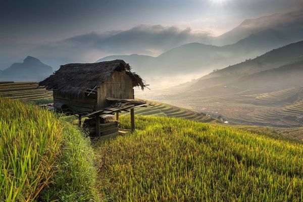 30 ภาพประทับใจแห่งปี เสน่ห์ทุ่งข้าวสีทองจากผืนนาบ้านเฮา 30 ภาพประทับใจแห่งปี เสน่ห์ทุ่งข้าวสีทองจากผืนนาบ้านเฮา