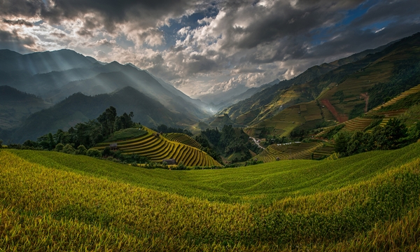 30 ภาพประทับใจแห่งปี เสน่ห์ทุ่งข้าวสีทองจากผืนนาบ้านเฮา 30 ภาพประทับใจแห่งปี เสน่ห์ทุ่งข้าวสีทองจากผืนนาบ้านเฮา