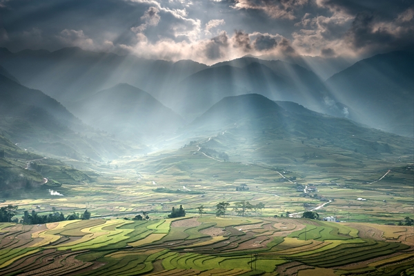 30 ภาพประทับใจแห่งปี เสน่ห์ทุ่งข้าวสีทองจากผืนนาบ้านเฮา 30 ภาพประทับใจแห่งปี เสน่ห์ทุ่งข้าวสีทองจากผืนนาบ้านเฮา