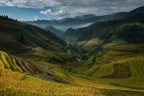 30 ภาพประทับใจแห่งปี เสน่ห์ทุ่งข้าวสีทองจากผืนนาบ้านเฮา 30 ภาพประทับใจแห่งปี เสน่ห์ทุ่งข้าวสีทองจากผืนนาบ้านเฮา