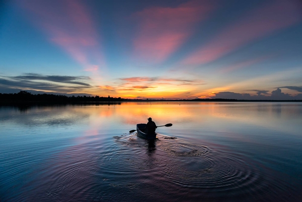 30 ภาพประทับใจแห่งปี เสน่ห์ทุ่งข้าวสีทองจากผืนนาบ้านเฮา 30 ภาพประทับใจแห่งปี เสน่ห์ทุ่งข้าวสีทองจากผืนนาบ้านเฮา