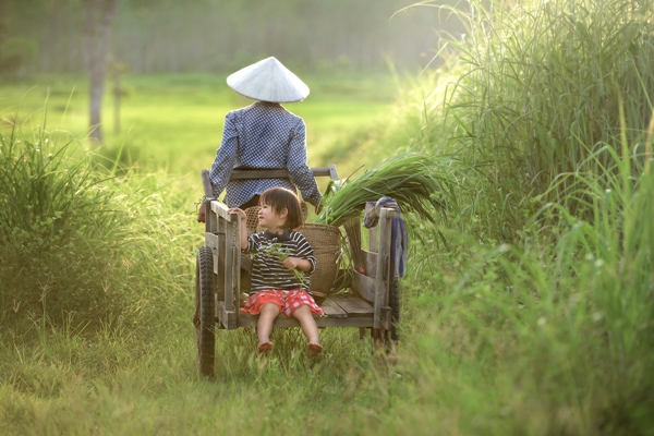 30 ภาพประทับใจแห่งปี เสน่ห์ทุ่งข้าวสีทองจากผืนนาบ้านเฮา 30 ภาพประทับใจแห่งปี เสน่ห์ทุ่งข้าวสีทองจากผืนนาบ้านเฮา