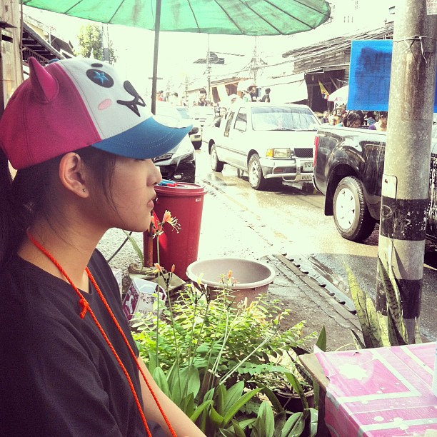 แอปเปิ้ล The Star