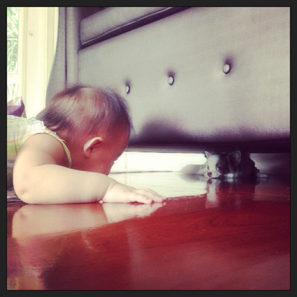 ชมกันชัด ๆ ภาพ น้องวันใหม่ สมาชิกใหม่บ้าน บอย ปกรณ์