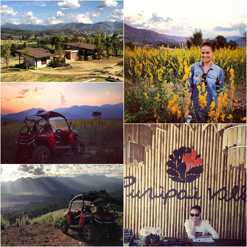 ภูริ ควง แอน สวีทเมืองเหนือ หวานชื่นรับปีใหม่