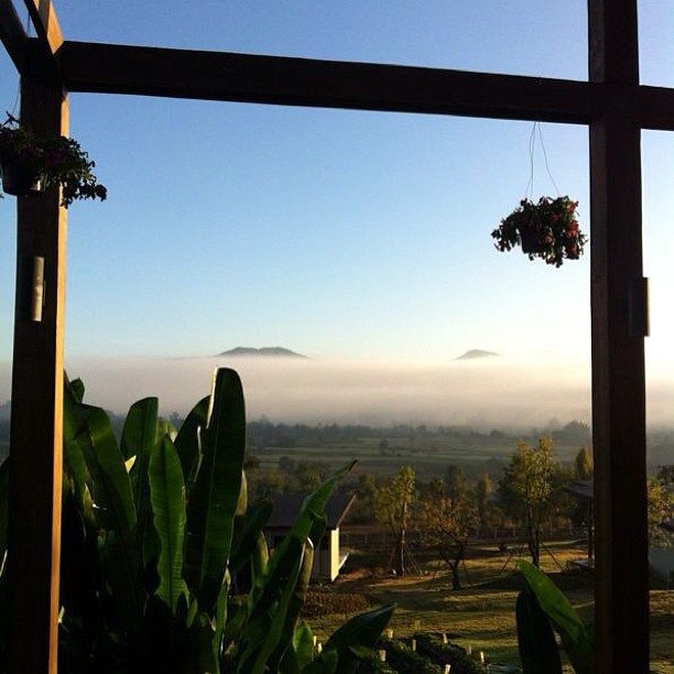 ภูริ ควง แอน สวีทเมืองเหนือ หวานชื่นรับปีใหม่