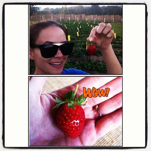 ภูริ ควง แอน สวีทเมืองเหนือ หวานชื่นรับปีใหม่