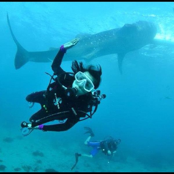 ต่าย ชัชฎาภรณ์