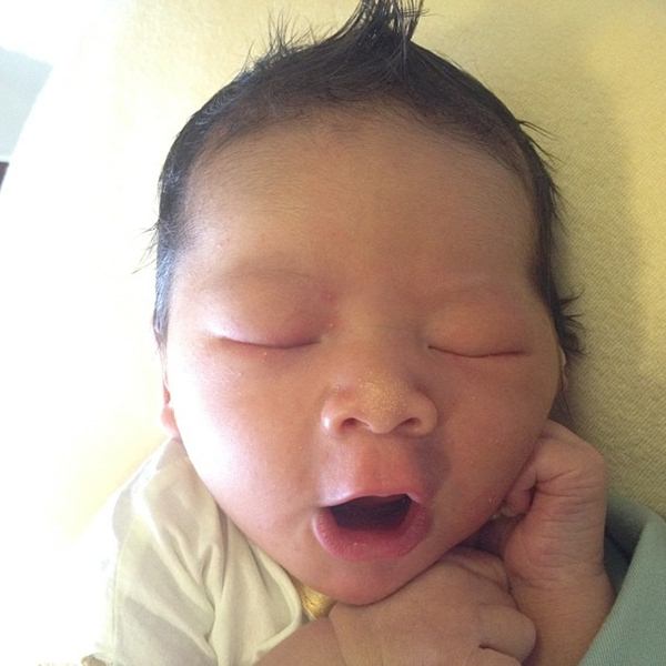 ลูกป๋อ