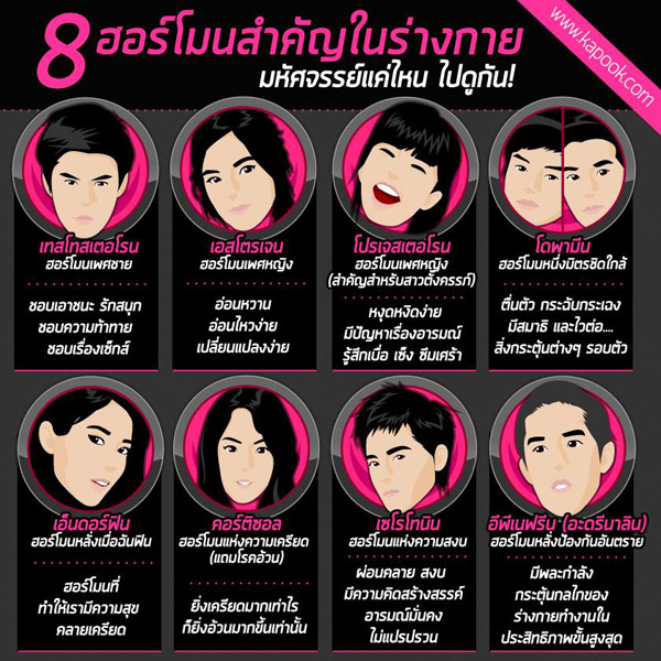 8 ฮอร์โมนสำคัญในร่างกาย มหัศจรรย์แค่ไหน ไปดูกัน !