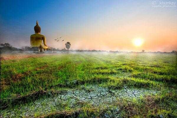 วัดม่วง วัดม่วง