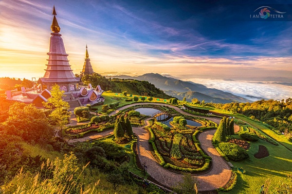 ป่าบงเปียงและดอยอินทนนท์ ป่าบงเปียงและดอยอินทนนท์