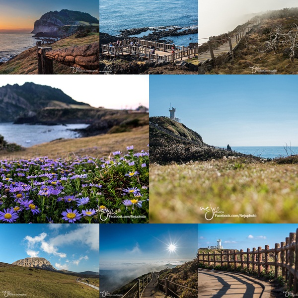 เกาะเชจู เกาะเชจู
