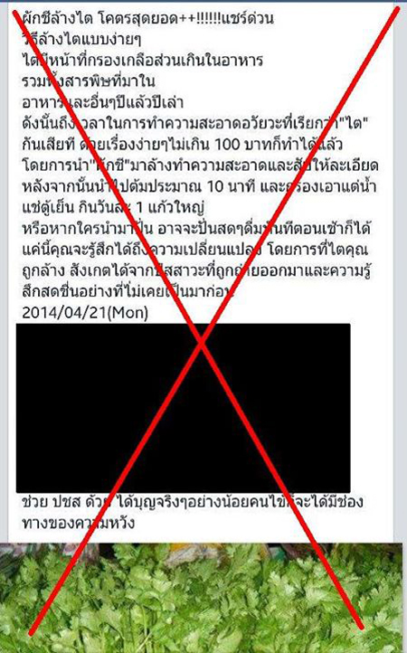 ผักชี ช่วยล้างไตได้จริงหรือ? ผักชี ช่วยล้างไตได้จริงหรือ?