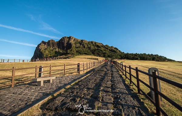 เกาะเชจู เกาะเชจู