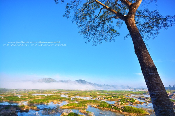 ภูห้วยอีสัน ภูห้วยอีสัน