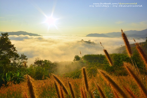 ภูห้วยอีสัน ภูห้วยอีสัน