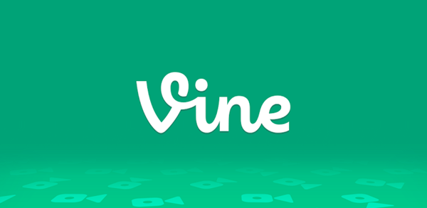 Vine Vine