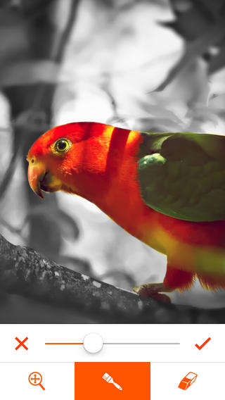 Phoenix Photo Editor Phoenix Photo Editor