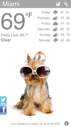 Weather Puppy Weather Puppy