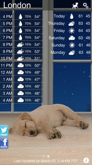 Weather Puppy Weather Puppy