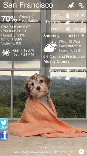 Weather Puppy Weather Puppy