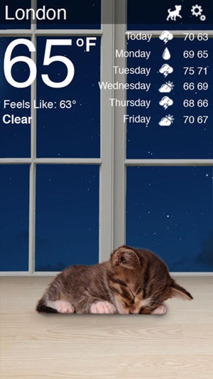 Weather Kitty Weather Kitty