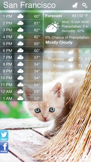 Weather Kitty Weather Kitty