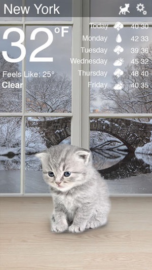 Weather Kitty Weather Kitty