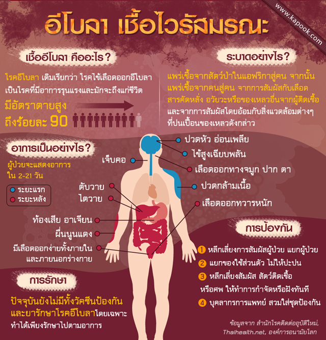 อีโบลา เชื้อไวรัสมรณะจากกาฬทวีป อีโบลา เชื้อไวรัสมรณะจากกาฬทวีป