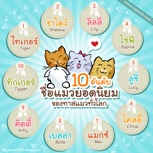 10 อันดับชื่อแมวยอดนิยมของทาสแมวทั่วโลก 10 อันดับชื่อแมวยอดนิยมของทาสแมวทั่วโลก
