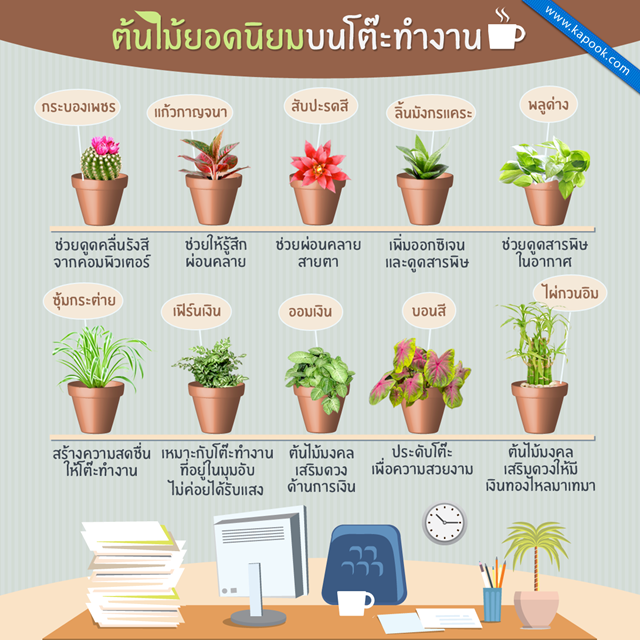 12 ต้นไม้บนโต๊ะทำงานยอดนิยม ประดับไว้ให้สดชื่น 12 ต้นไม้บนโต๊ะทำงานยอดนิยม ประดับไว้ให้สดชื่น