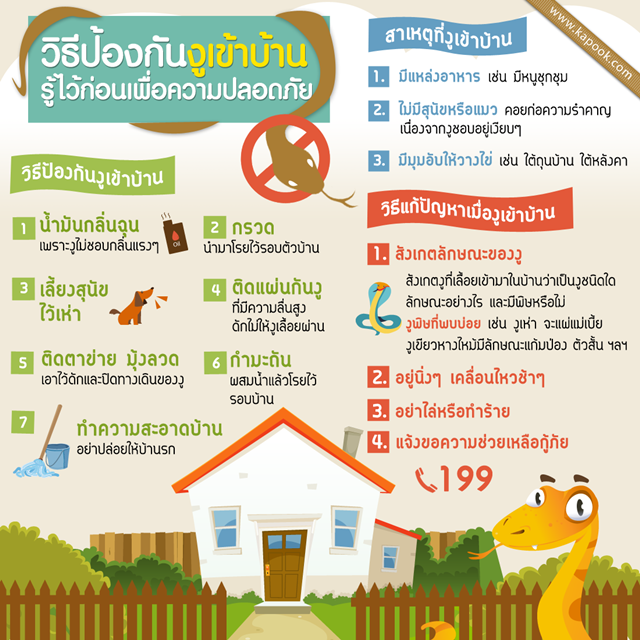 วิธีป้องกันงูเข้าบ้าน รู้ไว้ก่อนเพื่อความปลอดภัย วิธีป้องกันงูเข้าบ้าน รู้ไว้ก่อนเพื่อความปลอดภัย
