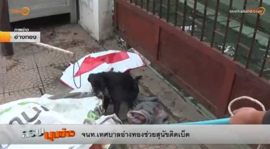 เจ้าสีนิล สุนัขถูกเบ็ดเกี่ยวปากและขา เจ้าสีนิล สุนัขถูกเบ็ดเกี่ยวปากและขา