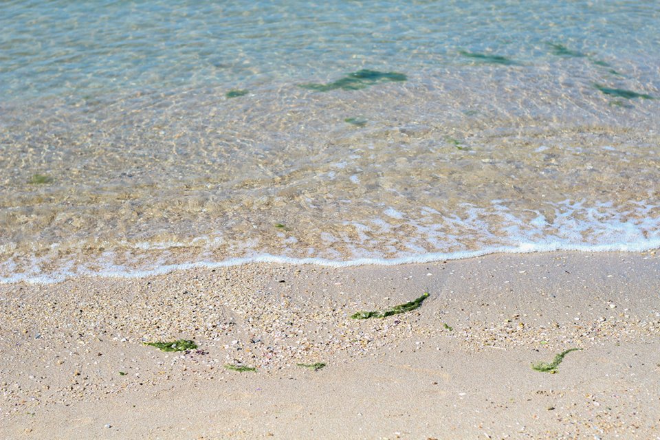 หาดบางแสนโฉมใหม่ หาดบางแสนโฉมใหม่